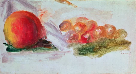 Fruit
